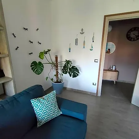 Libellula 3* Iglesias